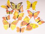 Sada 12-tich motýľov s magnetom